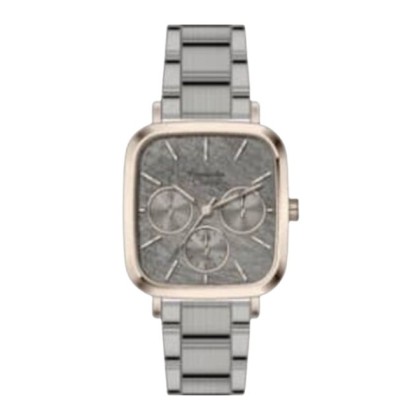 Alexandre Christie ALCW2B91BFBGRGR Grey Stainless Steel Band Analog Women Watch